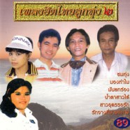 รวมศิลปิน เพลงฮิตไทยลูกทุ่ง ชุด 2-web